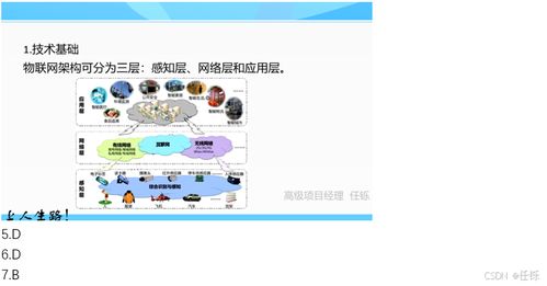 2024年上半年系统架构设计师上午真题及答案解析