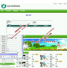 网上专家门诊预约系统的设计与实现 asp.net,sql 含录像